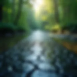 Pathways to Connection