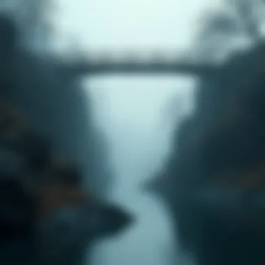 A bridge illustrating the journey from confusion to clarity